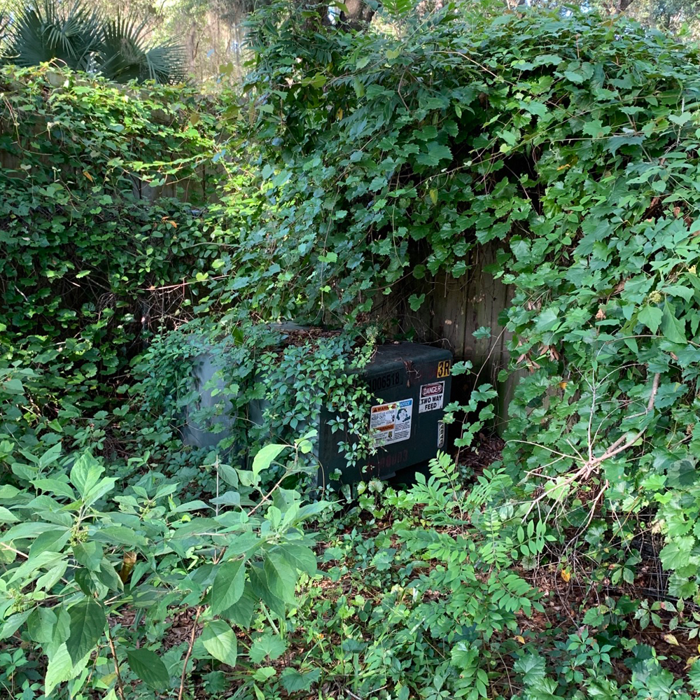 Transformer Obstructed