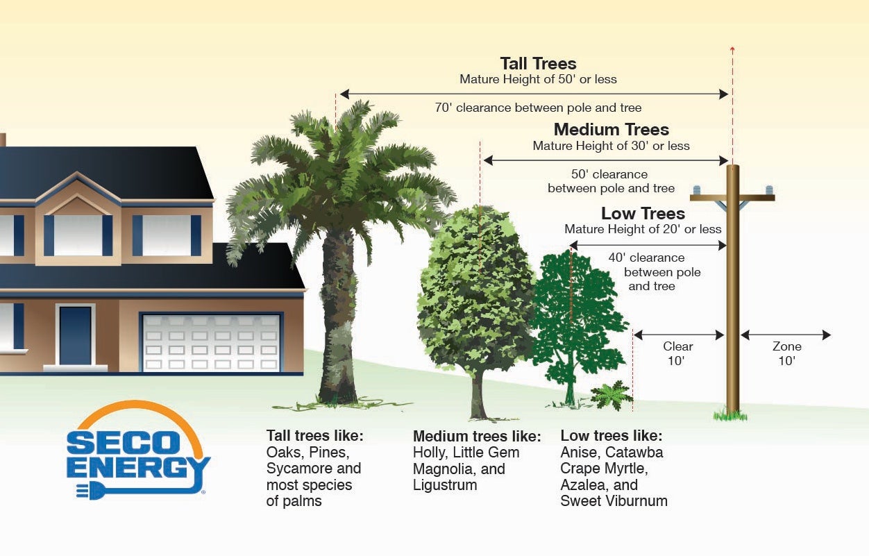 SECO Energy Right Tree Right Place Diagram