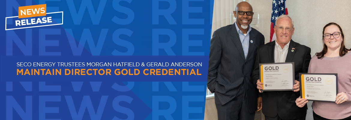 Director Gold Credential