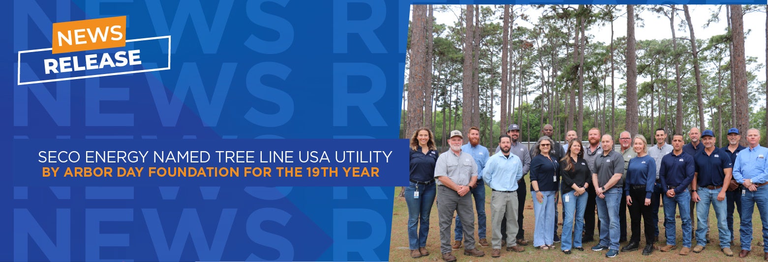 SECO Energy Names Tree Line USA Utility By Arbor Day Foundation for the 19th Year
