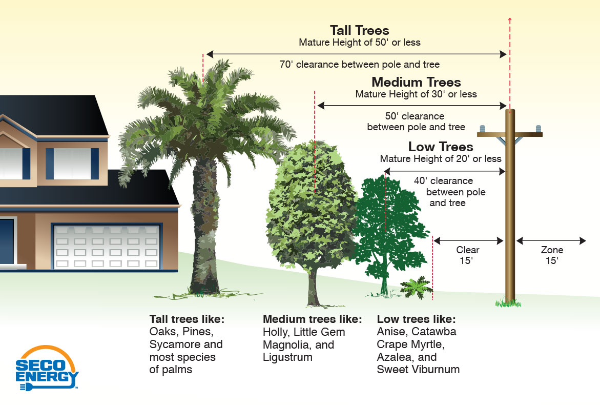 SECO Energy, An illustration on planting the right tree in the right place
