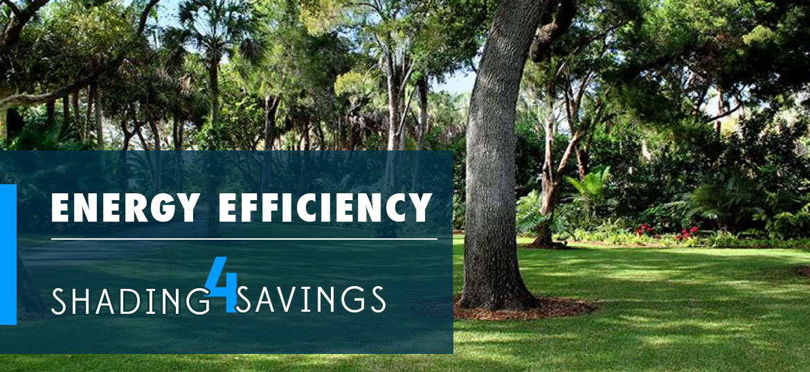SECO Energy, SECO News July 2016. ENERGY EFFICIENCY - Shading for savings
