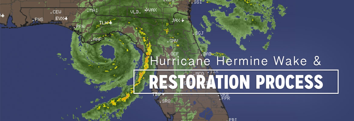 Hurricane Hermine Wake and Restoration Process