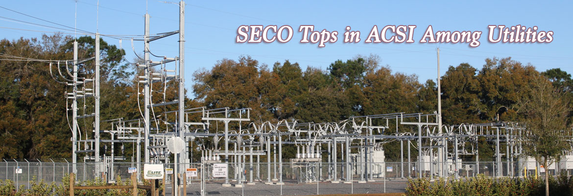 SECO Tops in ACSI Among Utilities