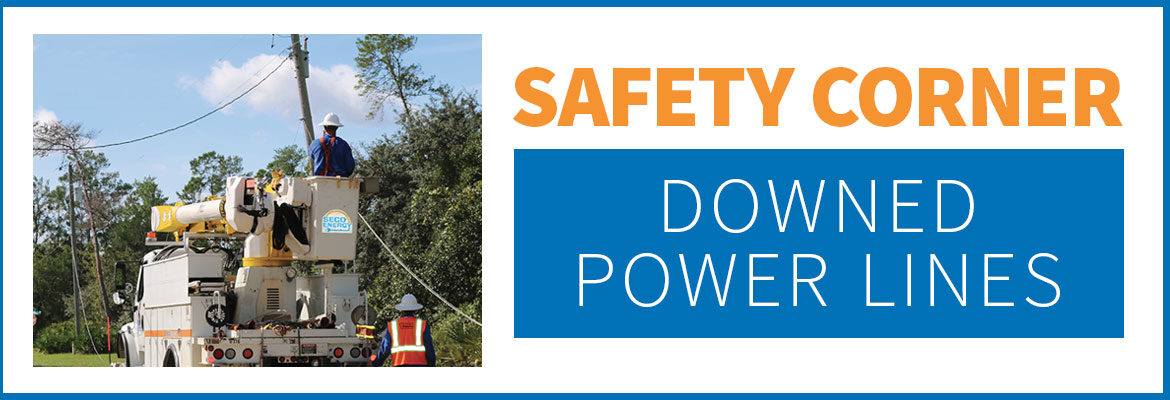 SECO News, May 2017 - Safety Corner, Downed Power Lines
