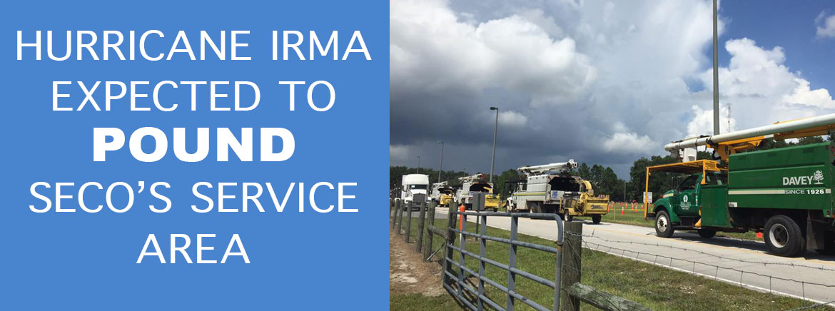 Hurricane Irma Expected to Pound SECO’s Service Area