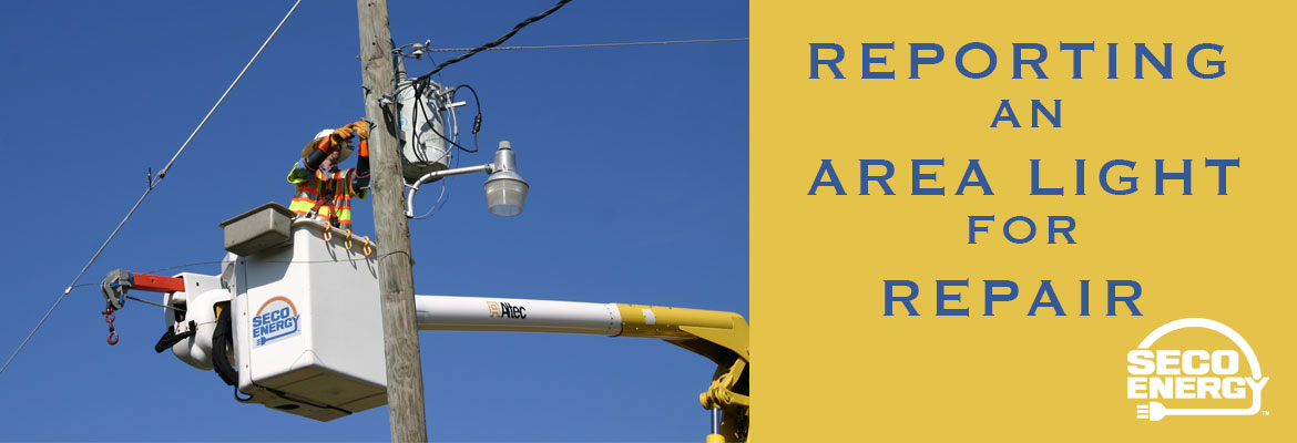 Reporting an area light for repair