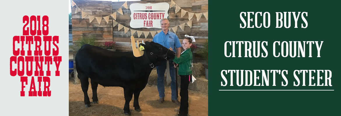 SECO Buys Citrus County Student’s Steer