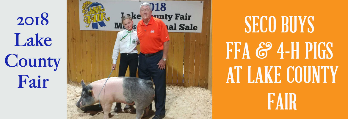 SECO Buys FFA and 4-H Pigs at Lake County Fair