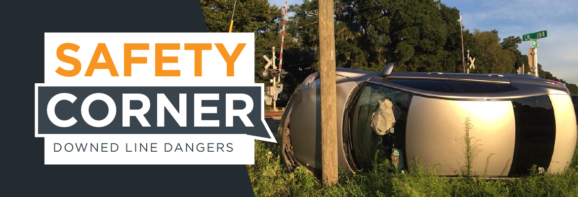 SECO News July 2018 Safety Corner Downed Line Dangers