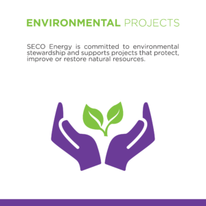 Environmental Projects tile back