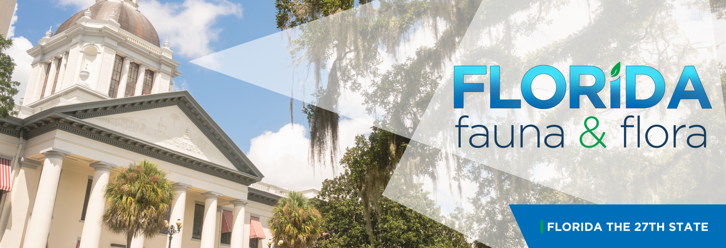 Florida Fauna & Flora – Florida the 27th State