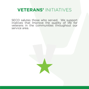 Veterans' Initiatives tile back