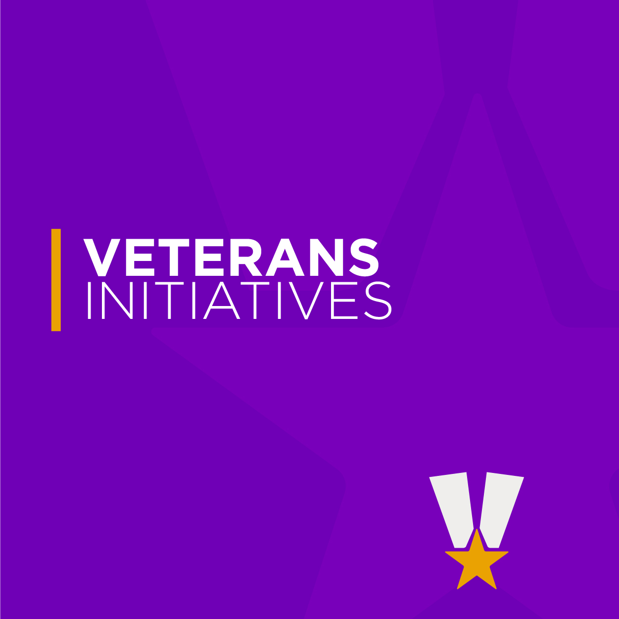 Veterans Initiatives