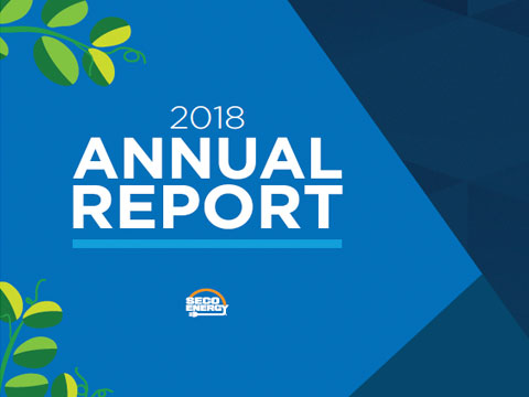 2018 Annual Report front page