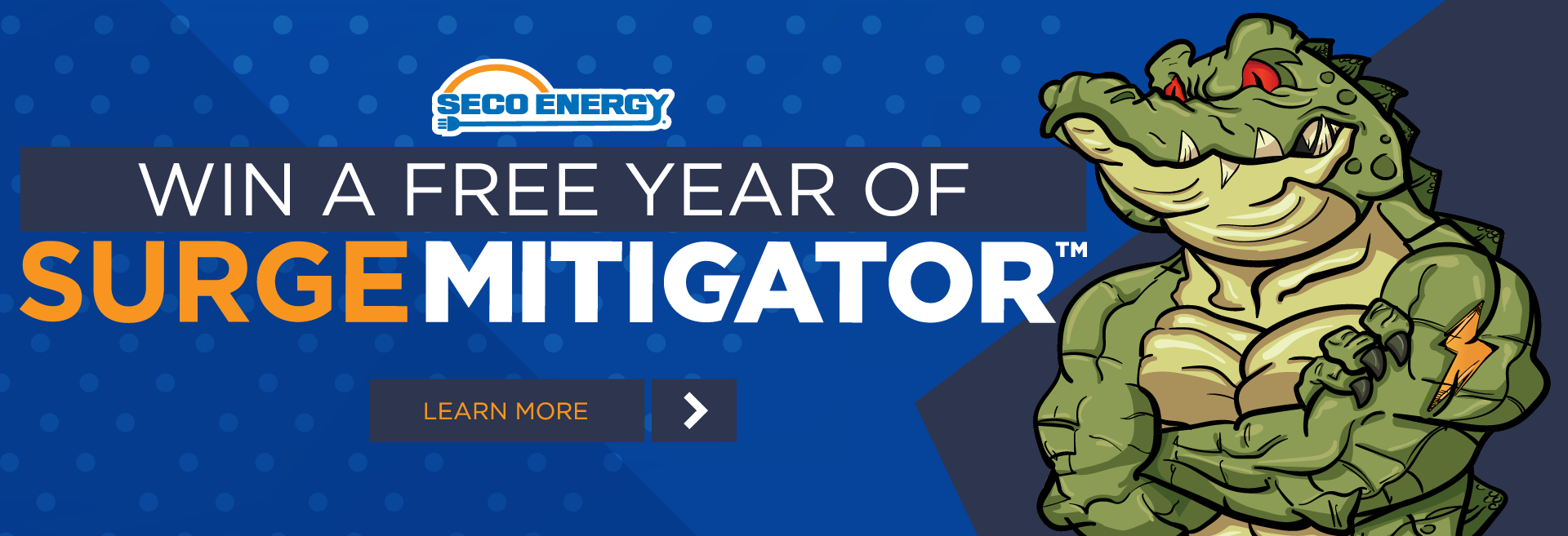 SECO Energy 2020 Win A Free Year of Surge Mitigator Learn More