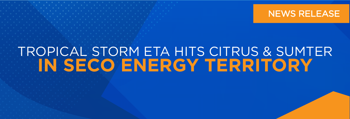 Tropical Storm Eta Hits Citrus & Sumter in SECO Energy Territory