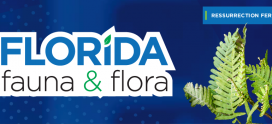 Florida Fauna & Flora – Resurrection Fern