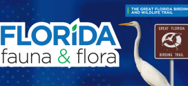 Florida Fauna & Flora – The Great Florida Birding and Wildlife Trail