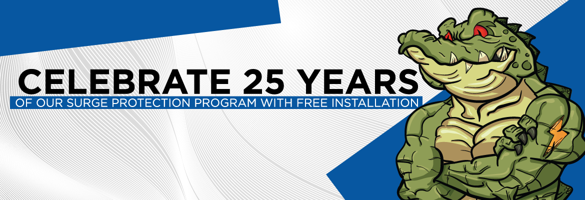 SECO News MARCH 2022 Celebrate 25 Years of Our Surge Protection Program with Free Installation