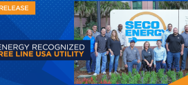 SECO Energy Recognized as a Tree Line USA Utility