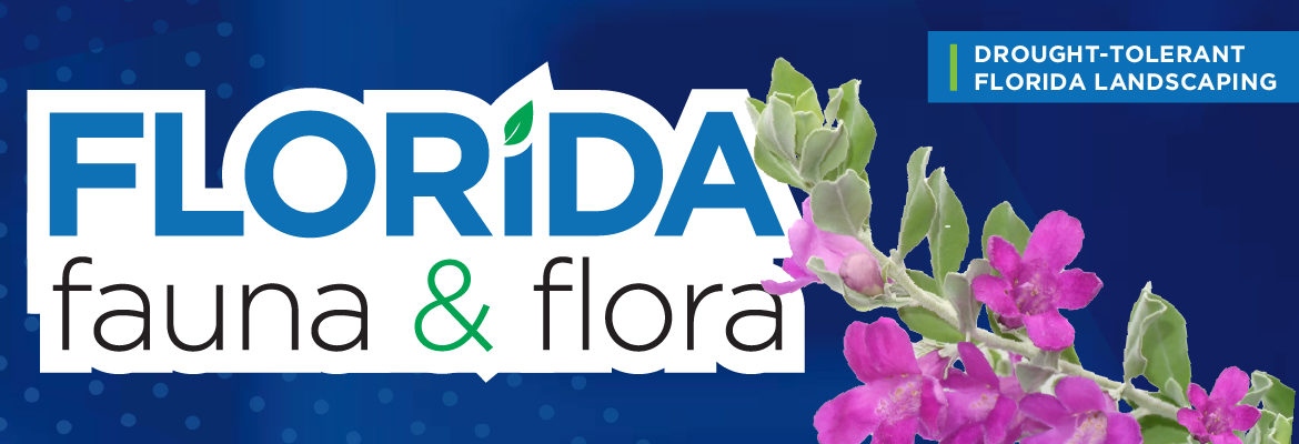 Florida Fauna & Flora – Drought-tolerant Florida Landscaping