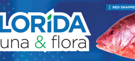 Florida Fauna & Flora – Red Snapper