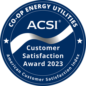 SECO Energy earns this award based on data modeled by the ACSI in 2023. Award criteria are determined by the ACSI based on customers rating their satisfaction with SECO Energy in a survey independent of the syndicated ACSI Energy Utility Study. For more about the ACSI, visit www.theacsi.org/badges. ACSI and its logo are registered trademarks of the American Customer Satisfaction Index LLC.