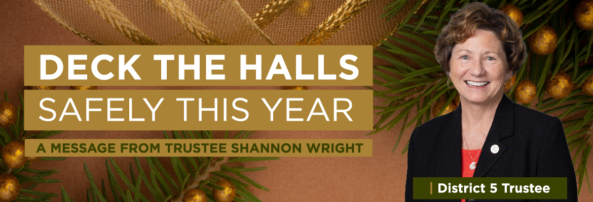 SECO News December 2024 Deck The Halls Safely This Year A Message From Trustee Shannon Wright, District 5 Trustee