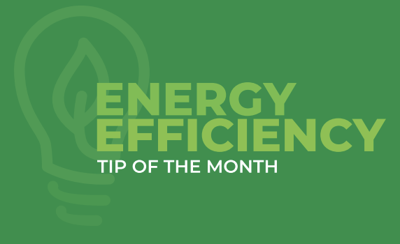 Energy Efficiency Tip of the Month